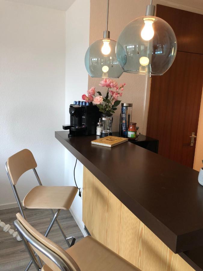 Grosses Appartement Mit Aussichtsbalkon Ludwigsburg Esterno foto